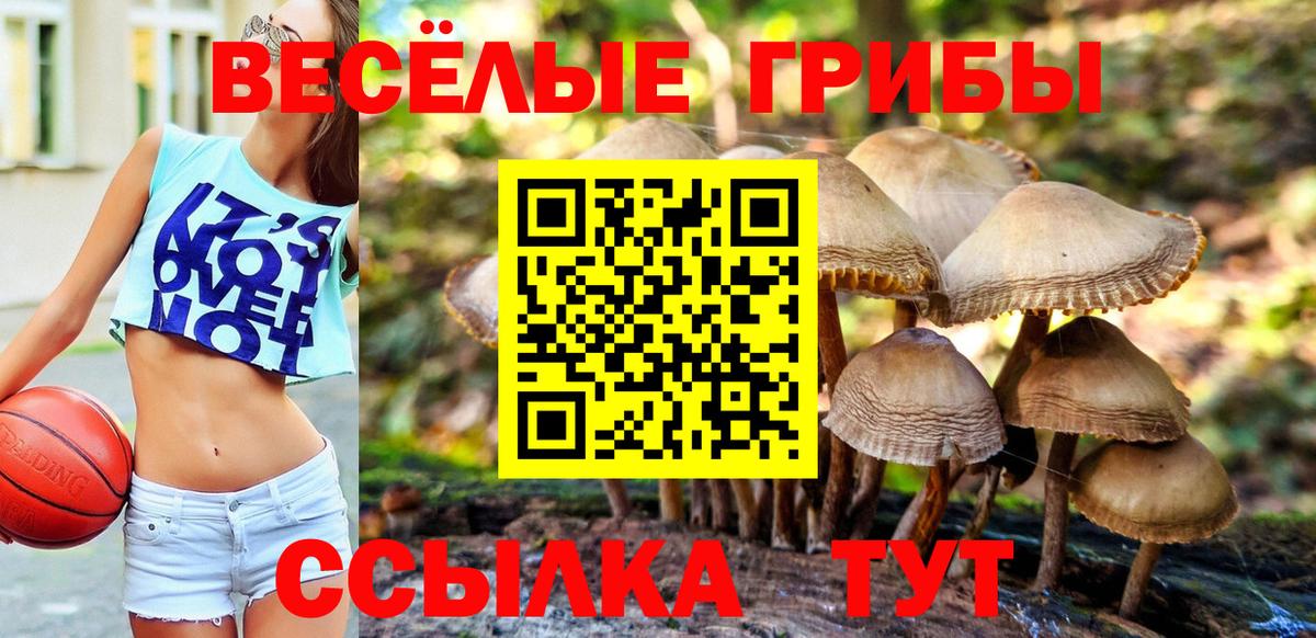 Галлюциногенные грибы Magic Shrooms Мариинск